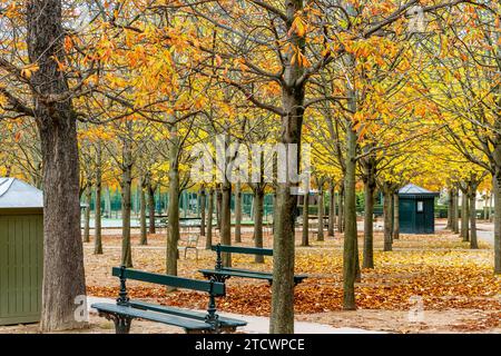 Un viale alberato con foglie autunnali al Jardin du Luxembourg a Parigi, in Francia Foto Stock