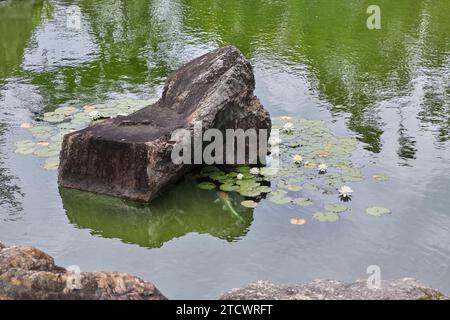 Immagine del tradizionale giardino giapponese Foto Stock