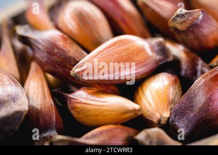 Semi tipici di araucaria utilizzati come condimento nella cucina brasiliana in inverno. Pino brasiliano in una ciotola rustica di legno marrone. Foto Stock