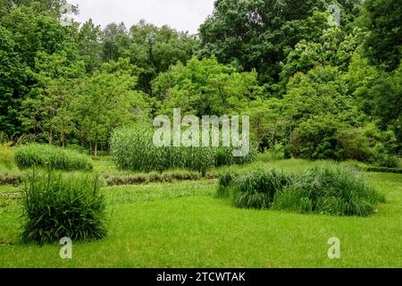 Paesaggio vivido nel giardino botanico Alexandru Buia da Craiova nella contea di Dolj, Romania, con fiori, erba e grandi tres verdi in una splendida zona soleggiata Foto Stock