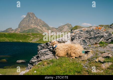 Il Midi Dossau Peak si riflette nel lago Gentau. Valle di Ossau, Parco Nazionale dei Pirenei, Pirenei, Francia. Foto di alta qualità Foto Stock