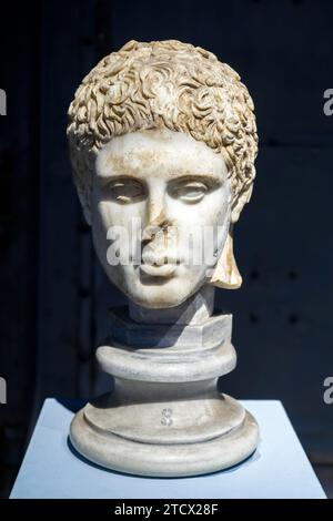 Capo di Diomede - marmo di Luni, copia in originale greco datata 420 a.C. - Museo centrale Montemartini, Roma, Italia Foto Stock