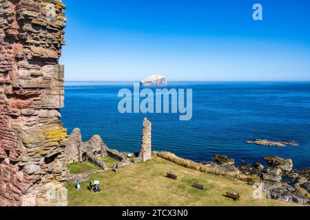 Vista dell'Inner Ward e vista in lontananza della Bass Rock dalla cima della Curtain Wall presso il castello di Tantallon nell'East Lothian, Scozia, Regno Unito Foto Stock