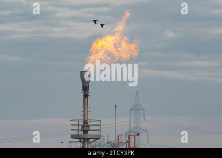 Glina, Romania - 14 dicembre 2023: L'impianto di trattamento delle acque reflue del sistema fognario della capitale, a Glina, a sud-est di Bucarest, durante la visita del sindaco di Bucarest, Nicusor Dan (non nella foto). Crediti: Lucian Alecu/Alamy Live News Foto Stock