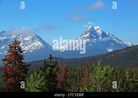 Athabasca Pass, Canada Foto Stock