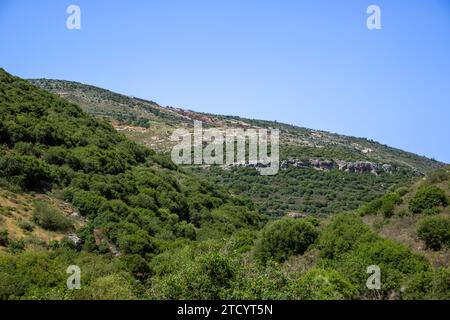 Vista nella parte superiore della Galilea nel nord di Israele Foto Stock