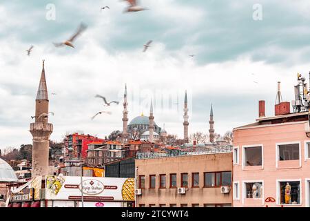 Istanbul, Turkiye - 7 marzo 2023: Vista esterna di Solimano, una moschea imperiale ottomana situata sulla terza collina di Istanbul, Turkiye. Foto Stock