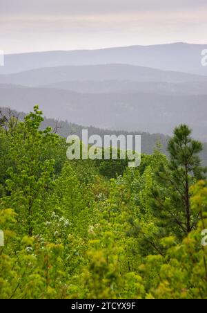 Una vista sulla Talimena Scenic Drive, National Scenic Byway Foto Stock