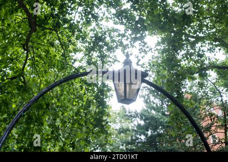 Dettagli e vista su alberi e ferro in Soho Square nel cuore della città di Londra Foto Stock