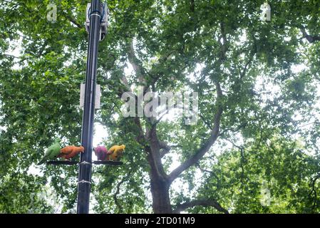 Dettagli e vista su alberi e ferro in Soho Square nel cuore della città di Londra Foto Stock