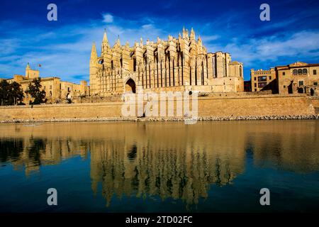 Die Kathedrale der Heiligen Maria in der spanischen Hafenstadt Palma, der Hauptstadt der Baleareninsel Mallorca, ist die Bischofskirche des Bistums Mallorca. SIE wird im Volksmund oft einfach la Seu genannt. La Seu *** la Cattedrale di San Maria nella città portuale spagnola di Palma, la capitale dell'isola delle Baleari di Maiorca, è la chiesa episcopale della diocesi di Maiorca spesso è chiamata semplicemente la Seu in volgare la Seu Foto Stock