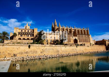 Die Kathedrale der Heiligen Maria in der spanischen Hafenstadt Palma, der Hauptstadt der Baleareninsel Mallorca, ist die Bischofskirche des Bistums Mallorca. SIE wird im Volksmund oft einfach la Seu genannt. La Seu *** la Cattedrale di San Maria nella città portuale spagnola di Palma, la capitale dell'isola delle Baleari di Maiorca, è la chiesa episcopale della diocesi di Maiorca spesso è chiamata semplicemente la Seu in volgare la Seu Foto Stock