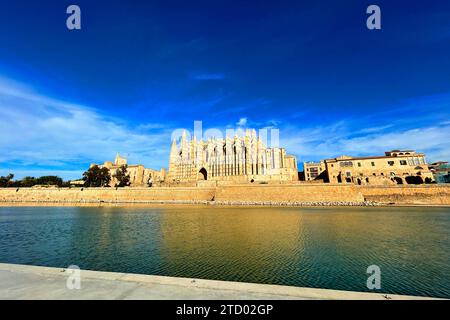 Die Kathedrale der Heiligen Maria in der spanischen Hafenstadt Palma, der Hauptstadt der Baleareninsel Mallorca, ist die Bischofskirche des Bistums Mallorca. SIE wird im Volksmund oft einfach la Seu genannt. La Seu *** la Cattedrale di San Maria nella città portuale spagnola di Palma, la capitale dell'isola delle Baleari di Maiorca, è la chiesa episcopale della diocesi di Maiorca spesso è chiamata semplicemente la Seu in volgare la Seu Foto Stock