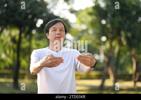 Tranquillo uomo asiatico di mezza età che pratica Qigong nel parco all'alba. Concetto di stile di vita sano. Foto Stock