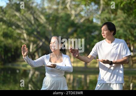 Coppia anziana che fa esercizi Qigong in una lezione di benessere al parco. Concetto di stile di vita sano. Foto Stock