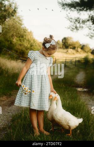 bambina su un sentiero che accarezza due anatre Foto Stock