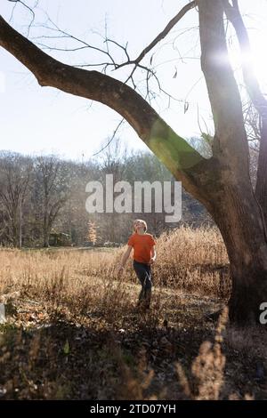 Ragazzo che guarda i semi che soffiano dagli alberi Foto Stock