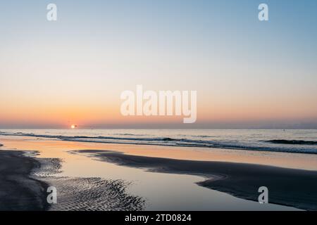 Uccelli e sole che arrivano sull'oceano all'alba sulla spiaggia di Hilton Head Island Foto Stock