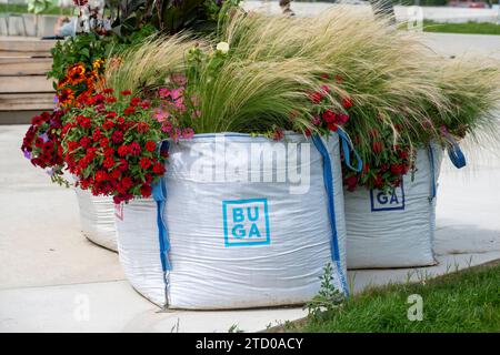 Fiori in sacchi di frutta nella zona del Federal Garden Show, BUGA 2023, a Mannheim, Germania, Baden-Wuerttemberg, Mannheim Foto Stock