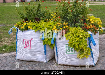 Fiori in sacchi di frutta nella zona del Federal Garden Show, BUGA 2023, a Mannheim, Germania, Baden-Wuerttemberg, Mannheim Foto Stock