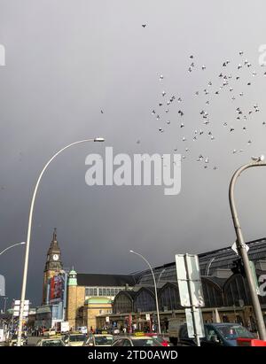 Piccione domestico, piccione selvatico (Columba livia F. domestica), gregge di piccioni urbani che volano alla stazione centrale di Amburgo, Germania, Amburgo Foto Stock