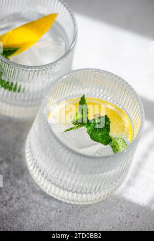 Gin tonic dalle tonalità cristalline servito con una fetta di limone e un rametto di menta, con ombre morbide su una superficie ruvida. Foto Stock