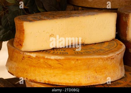 Italia, Lombardia, Valle Brembana, formaggio Branzi Foto Stock