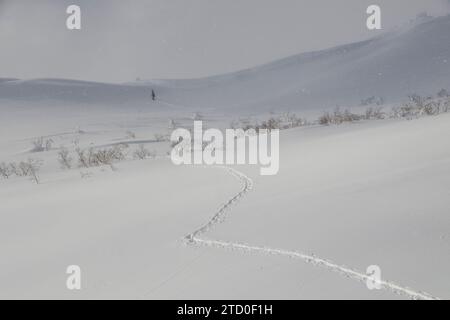 Vista a distanza di una persona attiva non riconoscibile che cammina su un paesaggio innevato durante il clima invernale estremo in Giappone Foto Stock