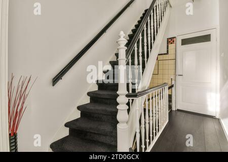 Scala con moquette e ringhiera nel moderno atrio della lussuosa casa con pavimento e porta in legno duro Foto Stock