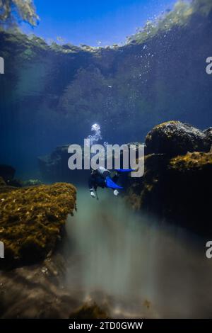 Un subacqueo esplora il tranquillo paesaggio sottomarino tra le mangrovie di Cancun, in Messico, con la luce del sole che filtra attraverso. Foto Stock