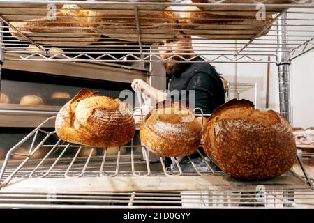 fornaio maschio maturo con barba che toglie panini appena sfornati con crosta croccante dal forno con grande scapola metallica in cucina Foto Stock