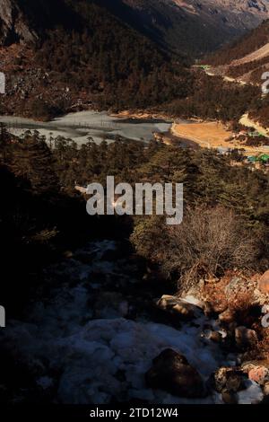 remota area di campagna vicino al lago madhuri, circondata dalle montagne dell'himalaya e dalla pineta nel distretto di tawang di arunachal pradesh, nel nord-est dell'india Foto Stock