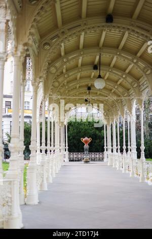 Snake Spring Mineral Fountain o N. 15 Hadi Pramen a Karlovy Vary, Repubblica Ceca Foto Stock