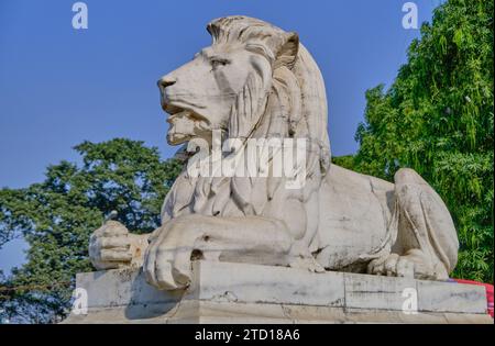 Leone di marmo all'ingresso della Victoria Memorial Hall, Kolkata Foto Stock