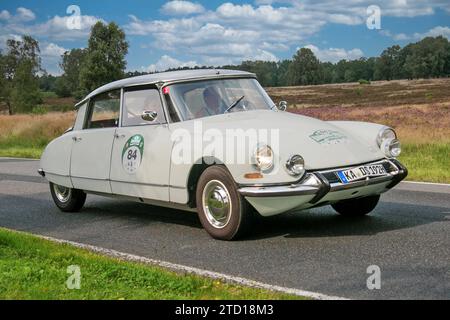 Von 10. Auto-Bild Klassik Amburgo-Berlino vom 24.-26.08.2017 Gemarkung Undeloh in der Lüneburger Heide. IM foto: Citroen DS19 BJ.1967 ccm1972 PS84 *** da 10 Auto Bild Klassik Amburgo Berlino dal 24 26 08 2017 Distretto Undeloh nella brughiera di Lüneburg nella foto Citroen DS19 BJ 1967 ccm1972 PS84 Foto Stock