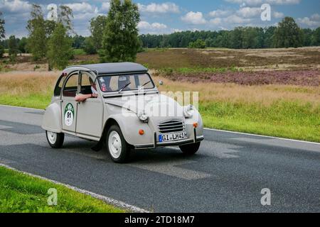 Von 10. Auto-Bild Klassik Amburgo-Berlino vom 24.-26.08.2017 Gemarkung Undeloh in der Lüneburger Heide. IM foto: Citreon 2CV BJ.1968 ccm421 PS16 *** da 10 Auto Bild Klassik Amburgo Berlino dal 24 26 08 2017 Distretto Undeloh nella brughiera di Lüneburg nella foto Citreon 2CV BJ 1968 ccm421 PS16 Foto Stock