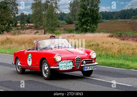 Von 10. Auto-Bild Klassik Amburgo-Berlino vom 24.-26.08.2017 Gemarkung Undeloh in der Lüneburger Heide. IM foto: Alfa Romeo Giulietta Spider BJ.1961 ccm1281 PS80 *** da 10 Auto Bild Klassik Amburgo Berlino dal 24 26 08 2017 Distretto Undeloh nella brughiera di Lüneburg nella foto Alfa Romeo Giulietta Spider BJ 1961 ccm1281 PS80 Foto Stock