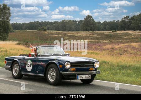 Von 10. Auto-Bild Klassik Amburgo-Berlino vom 24.-26.08.2017 Gemarkung Undeloh in der Lüneburger Heide. IM foto: Triumph TR6 BJ.1972 ccm2500 PS105 *** da 10 Auto Bild Klassik Amburgo Berlino dal 24 26 08 2017 Distretto Undeloh nella brughiera di Lüneburg nella foto Triumph TR6 BJ 1972 ccm2500 PS105 Foto Stock