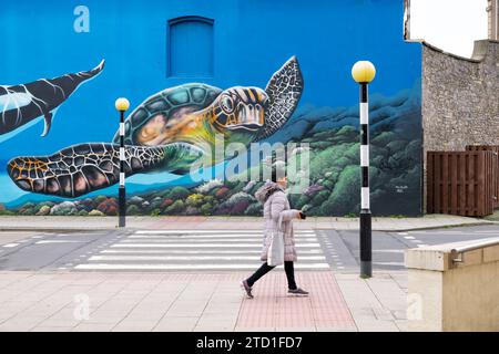 Una donna cammina davanti a una zebra pedonale che attraversa i Belisha Beacons. Lo sfondo è un grande murale marino dipinto da un artista locale di strada Foto Stock