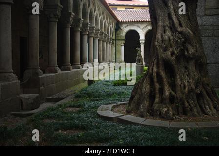Olivo nei chiostri della Chiesa degli Ulivi, Guimaraes Foto Stock