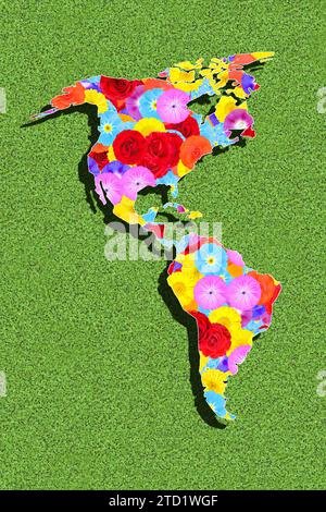 Contorno del continente America, con fiori colorati su un prato verde, grafica Foto Stock