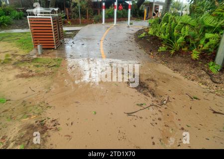 Sabbia lavata a riva dopo il Tropical Cyclone Jasper nel sobborgo di Holloways Beach sulle spiagge settentrionali. Il ciclone tropicale Jasper sbarcò sulla regione di Cairns come sistema di categoria 2 mercoledì 13 dicembre, portando a grandi inondazioni, detriti e venti potenti. Molti nell'estremo nord del Queensland hanno familiarità con le tempeste tropicali, ma il terreno variabile e le condizioni precedenti del terreno e della costa continuano a portare nuovi problemi come le inondazioni improvvise e l'erosione. Alcune aree come i sobborghi delle spiagge settentrionali possono essere allagate, come nel caso di Holloways Beach. Foto Stock