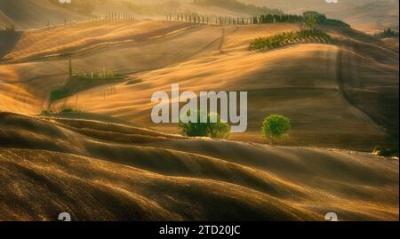 Toscana. Campi vicino a Pienza . Estate Foto Stock