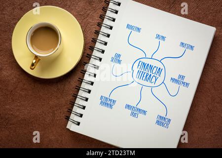 infografiche sull'alfabetizzazione finanziaria o schizzi di mappe mentali in un notebook a spirale - concetto di finanza personale e formazione Foto Stock