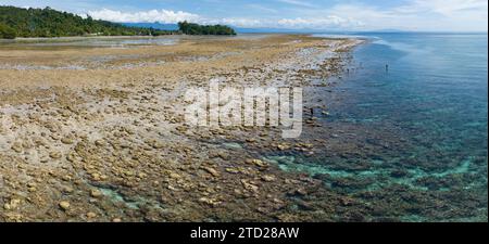 La bassa marea espone una vasta barriera corallina che cresce lungo la costa di Seram, Indonesia. Questa zona tropicale ospita una straordinaria biodiversità marina. Foto Stock