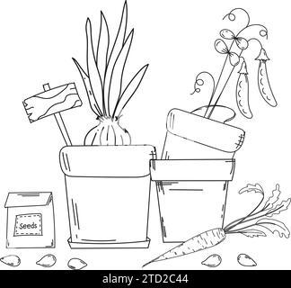 Il libro da colorare per la creatività dei bambini presenta un'illustrazione disegnata a mano di vasi con cipolle e piselli, semi e carote, che abbraccia Un tema del giardino, pronto per la stampa Illustrazione Vettoriale