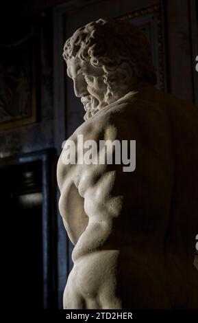 Madrid, 24/11/2015. Presentazione nel Palazzo reale della statua "Ercole appoggiato al suo club", un'opera recuperata dalle collezioni reali. Foto: Ignacio Gil ARCHDC. Crediti: Album / Archivo ABC / Ignacio Gil Foto Stock