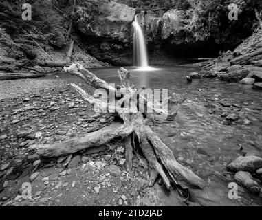 BW01721-00....WASHINGTON - Iron Creek Falls nella Gifford Pinchot National Forest. Foto Stock