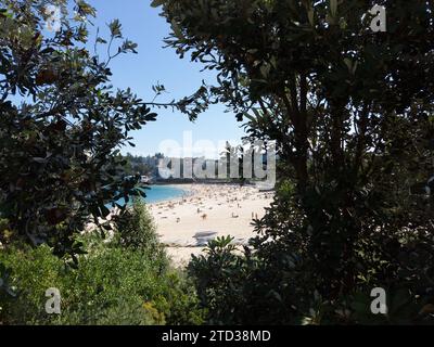 Coogee Beach durante l'estate Foto Stock