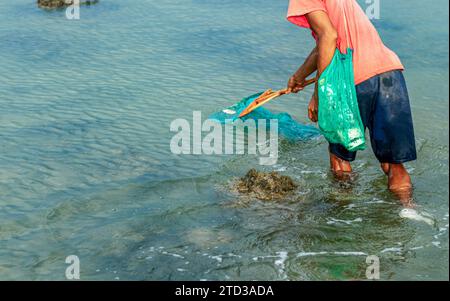 Le persone catturano pesci che galleggiano sulla superficie dell'acqua perché sono avvelenati dalle radici della pianta tuba o Derris. problemi ambientali Foto Stock